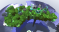 More Trees.png